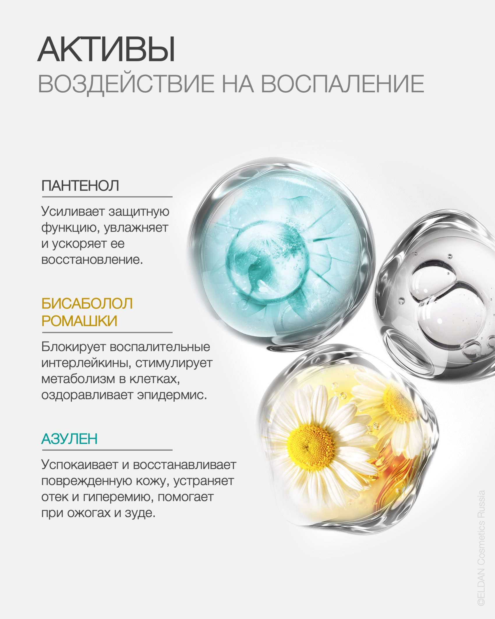 Пост активы против воспаления 3.jpg